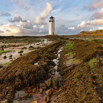 Artwork thumbnail, Southerness Lighthouse at Low Tide by Simon Bowen