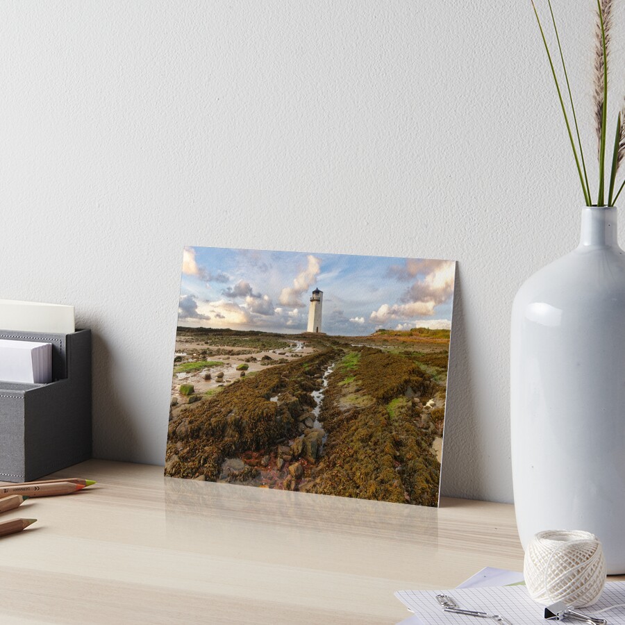 Item preview, Art Board Print designed and sold by sjbowen.