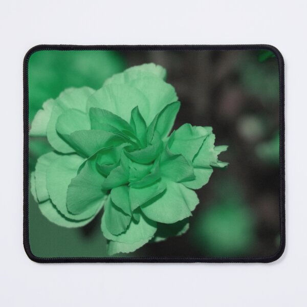 Item preview, Minty Pale Green Dreamy Carnation Flower designed and sold by JariHawk.