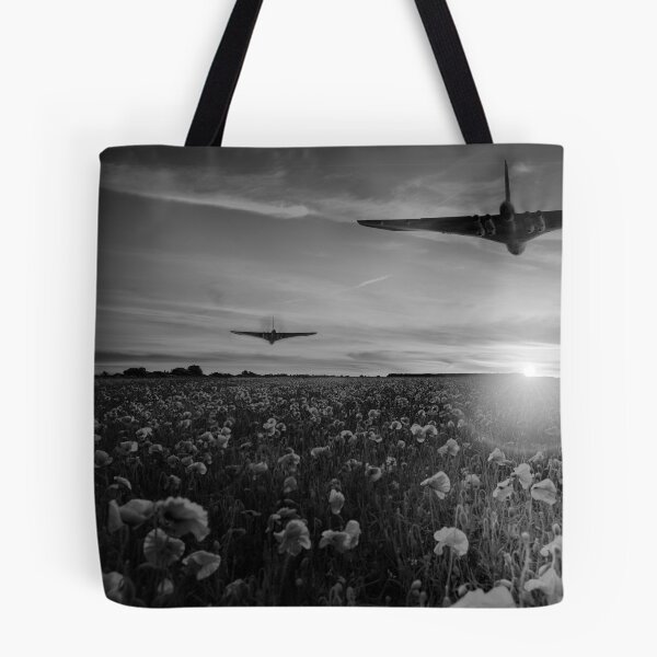 Item preview, Final Approach designed and sold by SmartAviation.