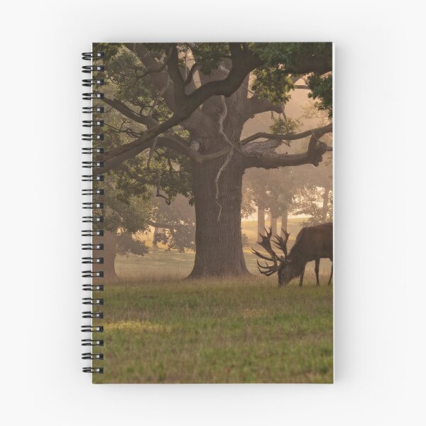 Item preview, Grazing designed and sold by Ian Leyland.