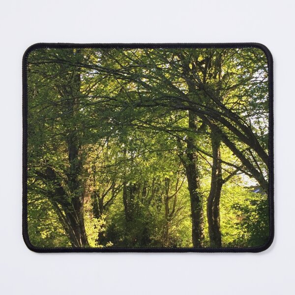 Item preview, Beautiful Forest Walk In France designed and sold by golan22may.