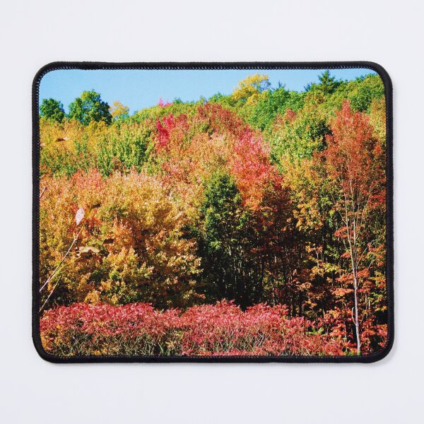 Item preview, AUTUMN IN NEWFIELD NEW YORK  designed and sold by JoAnnHayden.