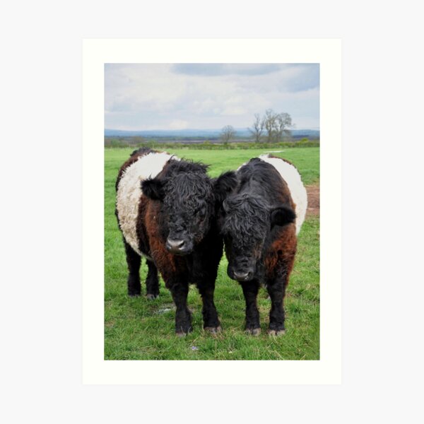 Twin Bands Art Print