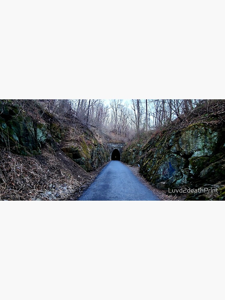 "Afton Tunnel" Poster for Sale by Luvd2deathPrint Redbubble
