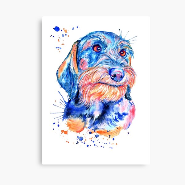 Red long haired Dachshund dog print stretched canvas portrait drawing art memorial loss of dog pet gift