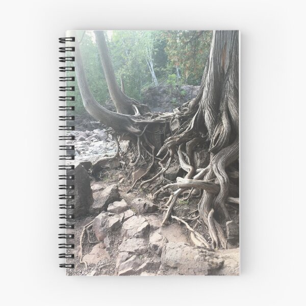 Item preview, Exposed Roots designed and sold by Darby Sauer.