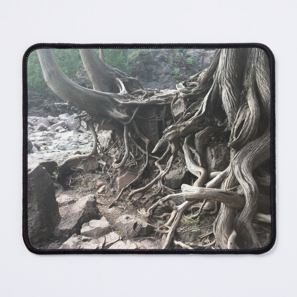 Item preview, Exposed Roots designed and sold by Darby Sauer.