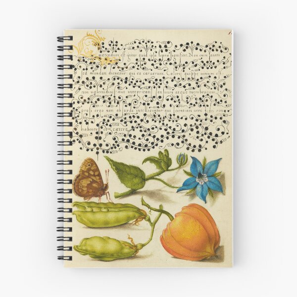 Item preview, Naturalist Manuscript Insect and Plants Illumination: Speckled Wood, Talewort, Garden Pea, and Lantern Plant by Joris Hoefnagel  designed and sold by Naturalist Prints.