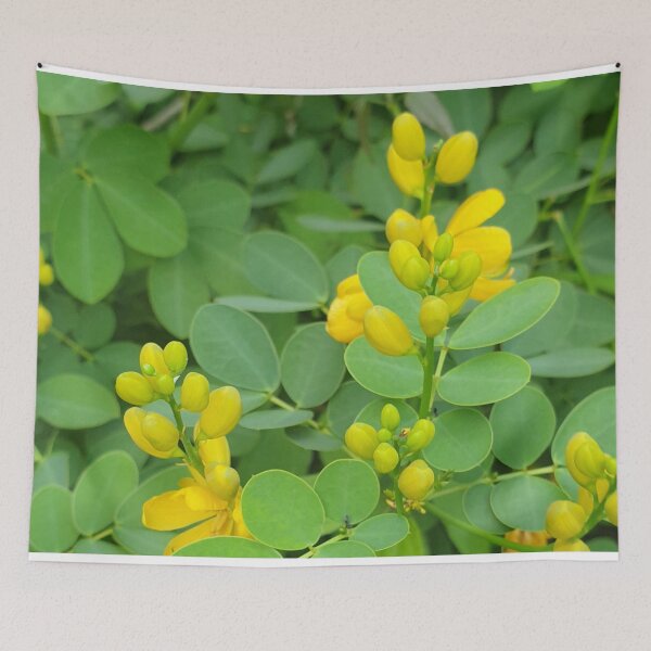 Item preview, Beautiful Pre Flower Buds designed and sold by Bennymp.