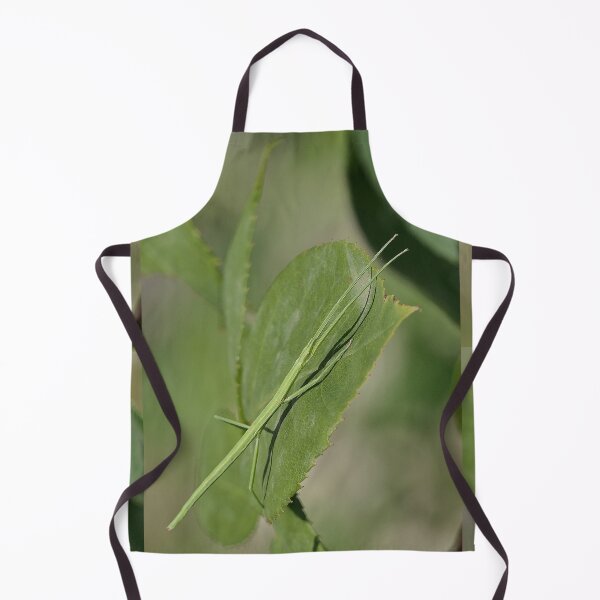 Item preview, r961 / New Finition 2021 " Le Légendaire Phasme du Jardin " (h) Olavia-Olao Okaio Créations designed and sold by o.okaïo.