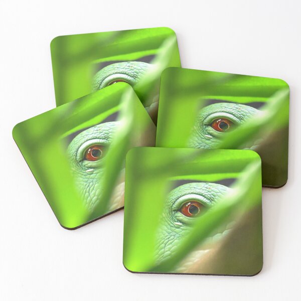 Item preview, Iguana eye designed and sold by noahjpphotos.