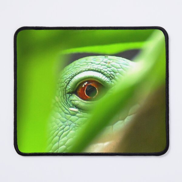 Item preview, Iguana eye designed and sold by noahjpphotos.