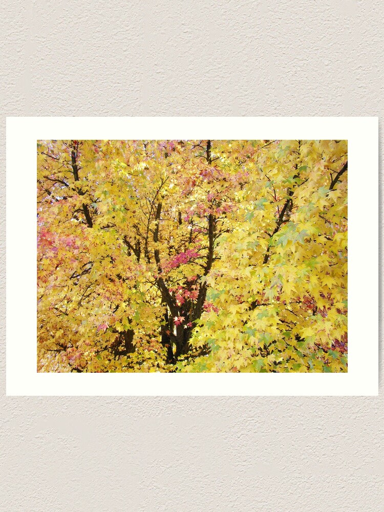 Autumn Forest Art Prints Yellow Fall Leaves Art Print By Basleeartprints Redbubble