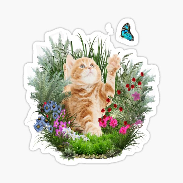 Ginger kitty playing with a butterfly Sticker