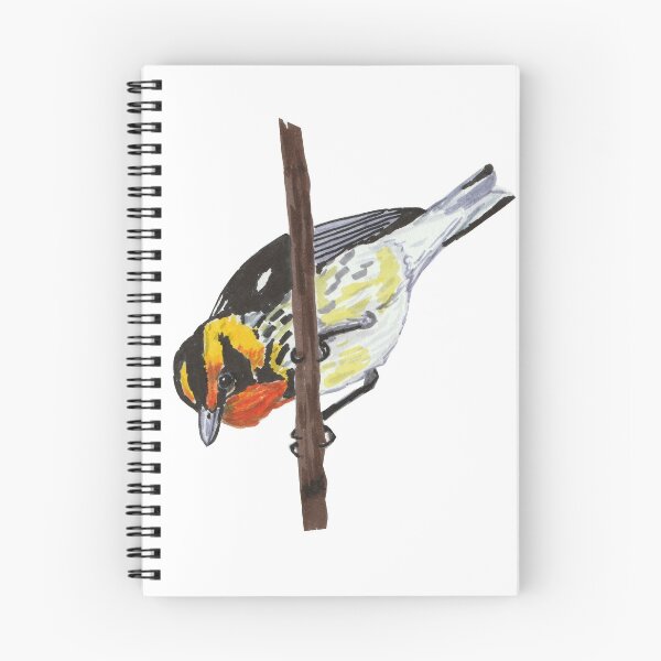 Item preview, Blackburnian Warbler designed and sold by gorillagal.