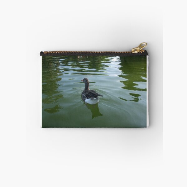 Item preview, Parc de la Ciutadella - Duck designed and sold by Skulltech.