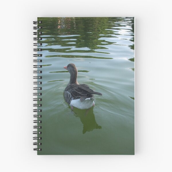 Item preview, Parc de la Ciutadella - Duck designed and sold by Skulltech.