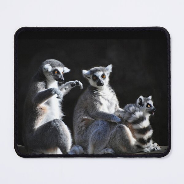 Item preview,  Ring-tailed Lemur Family designed and sold by Savannah Gibbs.
