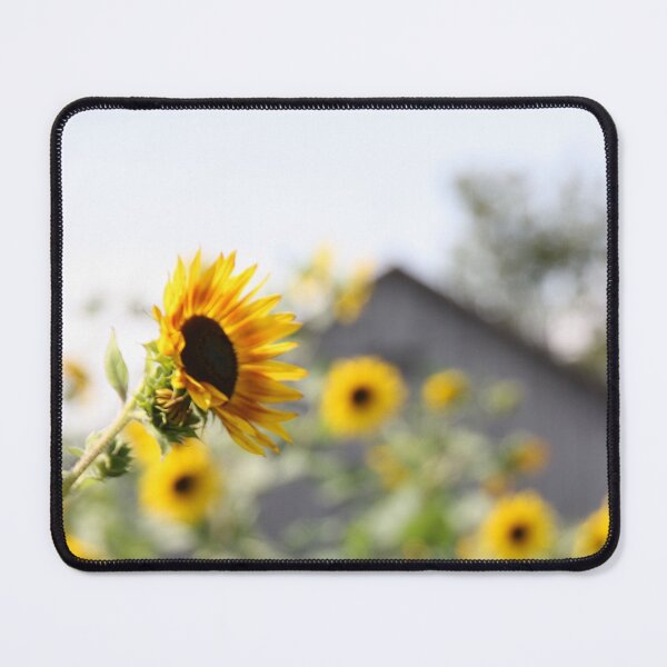 Item preview, Sunflower designed and sold by Cilcreates.