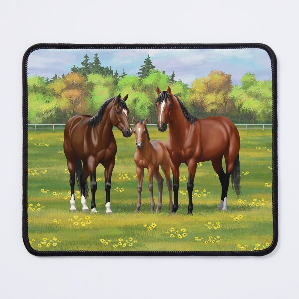 Item preview, Brown Bay Quarter Horses In Summer Pasture designed and sold by csforest.