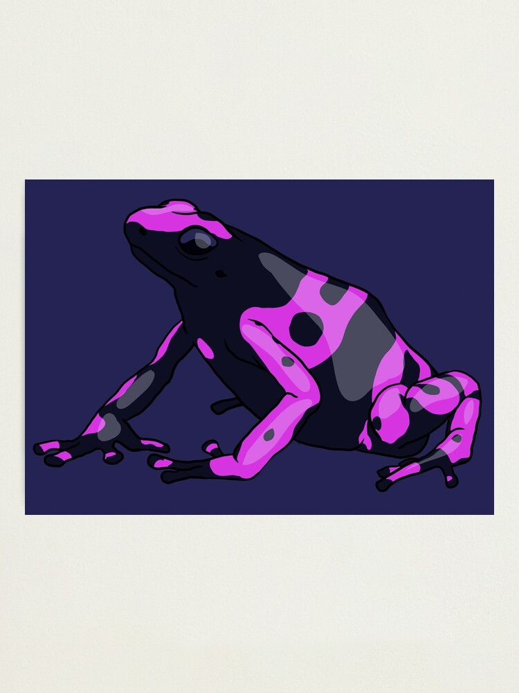 Pink Dart Frog Photographic Print for Sale by DILLIGAFM8