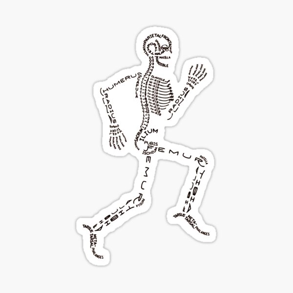 Item preview, Skeleton Graphic for Physical Therapy, Orthopedic, Nurse  designed and sold by FTAPS.