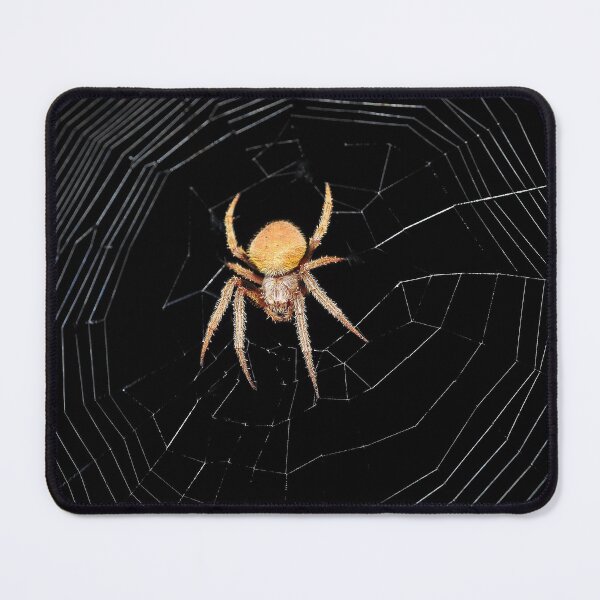 Item preview, Spider designed and sold by Savannah Gibbs.