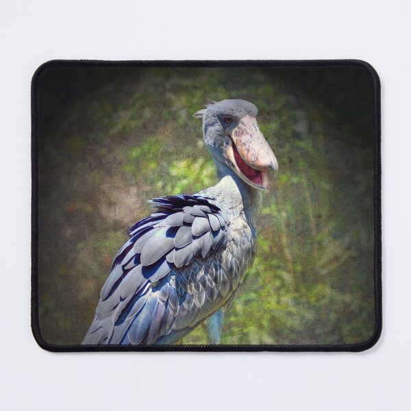 Item preview, ShoeBill Stork designed and sold by Savannah Gibbs.