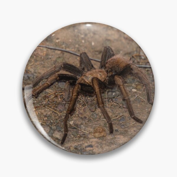 Item preview, Tarantula designed and sold by Lotharism.