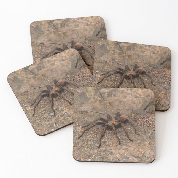 Item preview, Tarantula designed and sold by Lotharism.