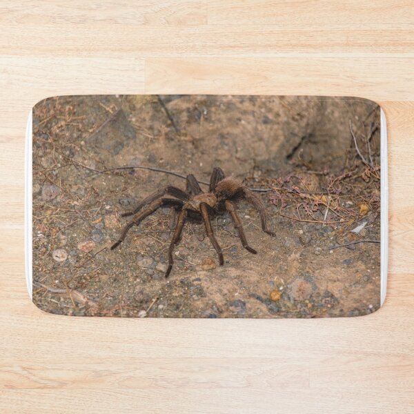 Item preview, Tarantula designed and sold by Lotharism.