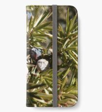 The invigorating juniper berries! iPhone Wallet/Case/Skin