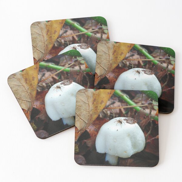 Item preview, Tiny Spider On Tiny Mushroom designed and sold by Rebekah Slick.