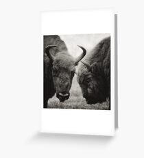 a conversation Greeting Card