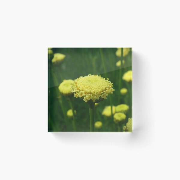Item preview, Proud and Tall designed and sold by Kate Eller.