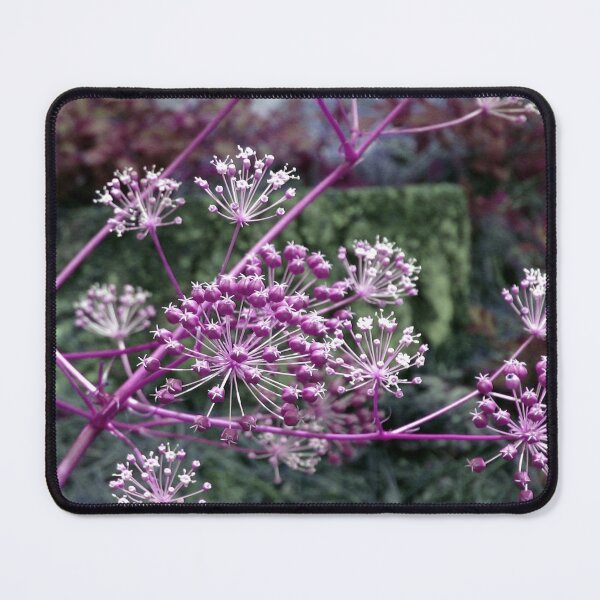 Item preview, Purple Berries-Available As Art Prints-Mugs,Cases,Duvets,T Shirts,Stickers,etc designed and sold by born30.
