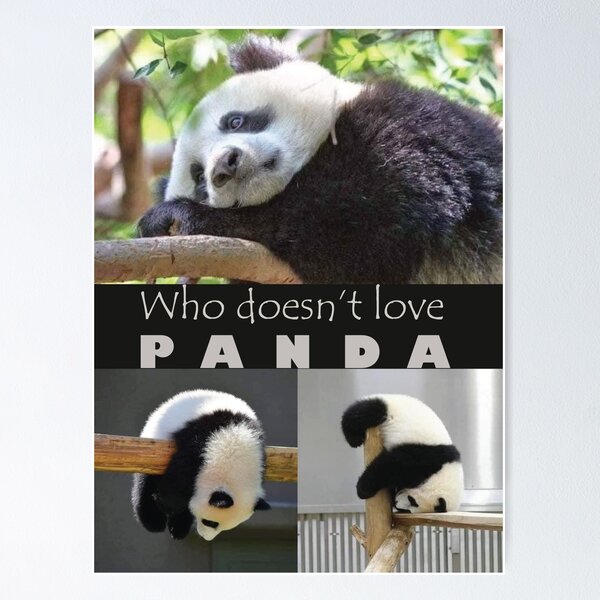 Item preview, Who doesn’t love  P  A  N  D  A !! designed and sold by olafekry.
