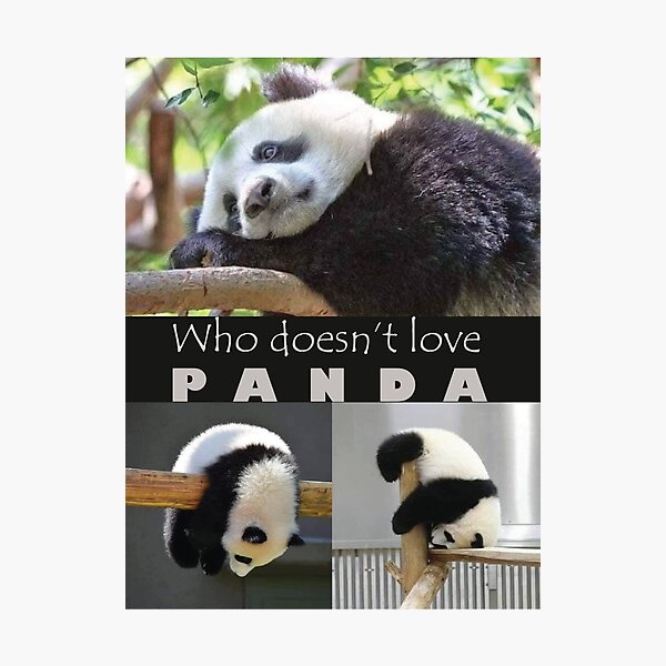 Item preview, Who doesn’t love  P  A  N  D  A !! designed and sold by olafekry.