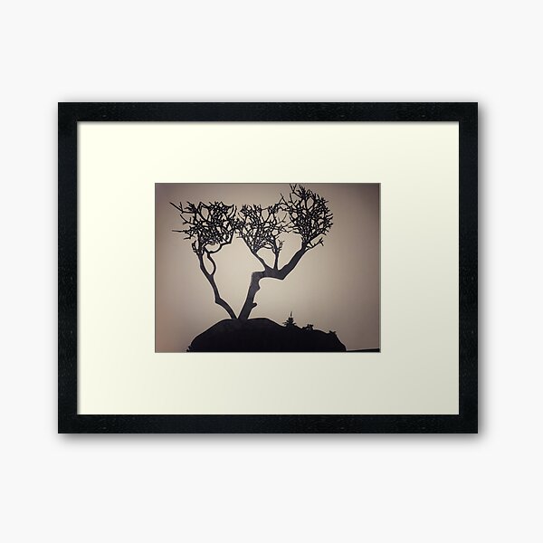 Untitled Framed Art Print