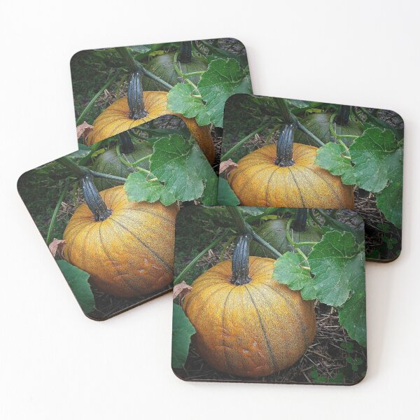 Item preview, Pumpkin Patch designed and sold by Rebekah Slick.