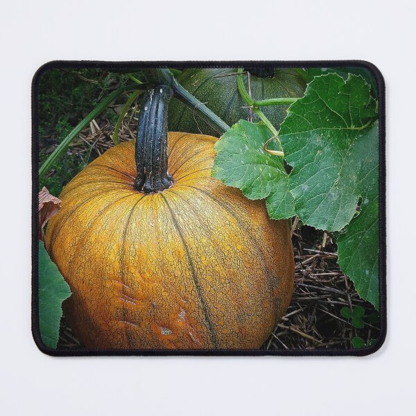 Item preview, Pumpkin Patch designed and sold by Rebekah Slick.