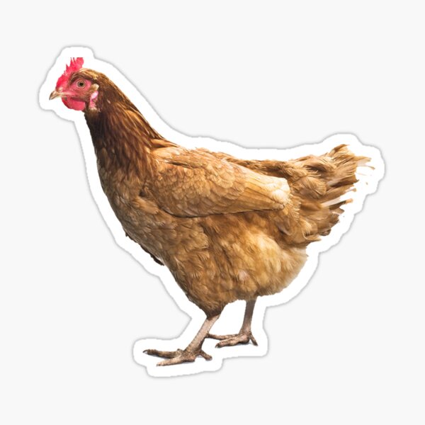 Item preview, Chicken Sticker designed and sold by MELANIESMART.