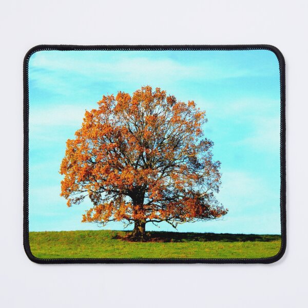 Item preview, Tree in autumn colours designed and sold by angel1.