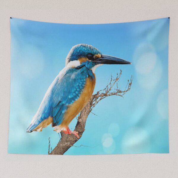 Item preview, The Kingfisher patiently waits designed and sold by Barbny.