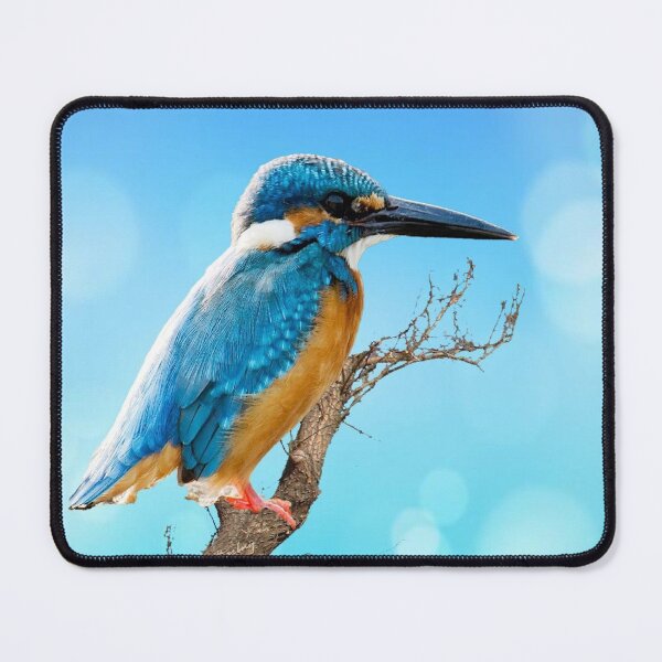 Item preview, The Kingfisher patiently waits designed and sold by Barbny.
