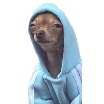 Chihuahua Hoodie - Blue Chihuahua Hoodie - Blue