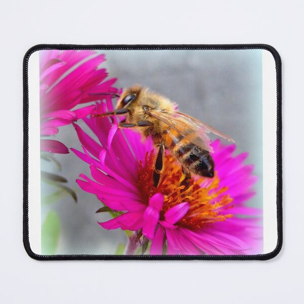 Item preview, Wandering Bee designed and sold by angel1.