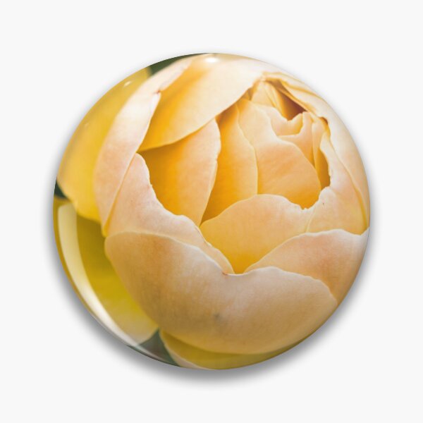 Item preview, Ego Aurum designed and sold by Kerry LeBoutillier.