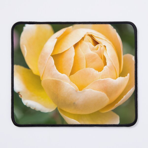 Item preview, Ego Aurum designed and sold by Kerry LeBoutillier.